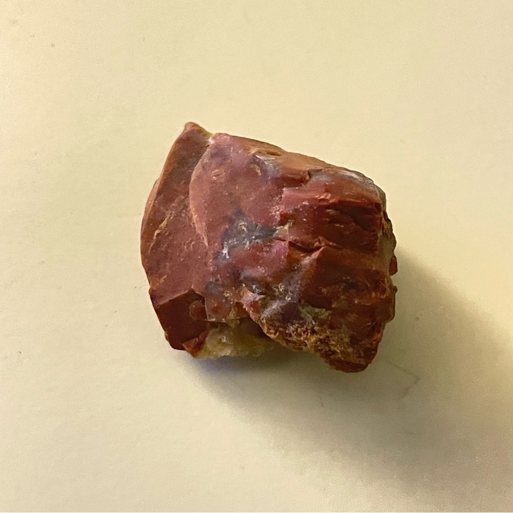 New Petrified Wood Brown Tan Natural Free Form Specimen Chunk 26.2g 131.0CT - Picture 7 of 10